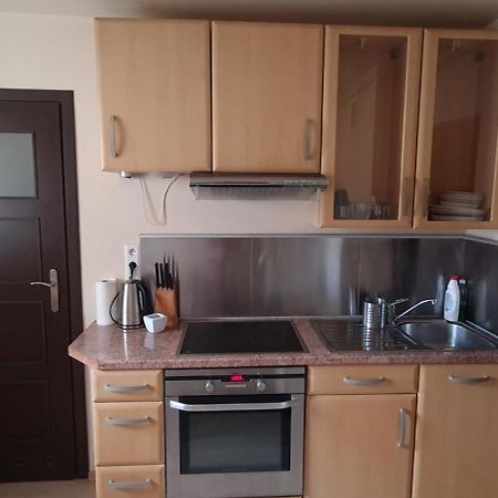 קריניצה זדרוי Apartament Czarny Potok מראה חיצוני תמונה