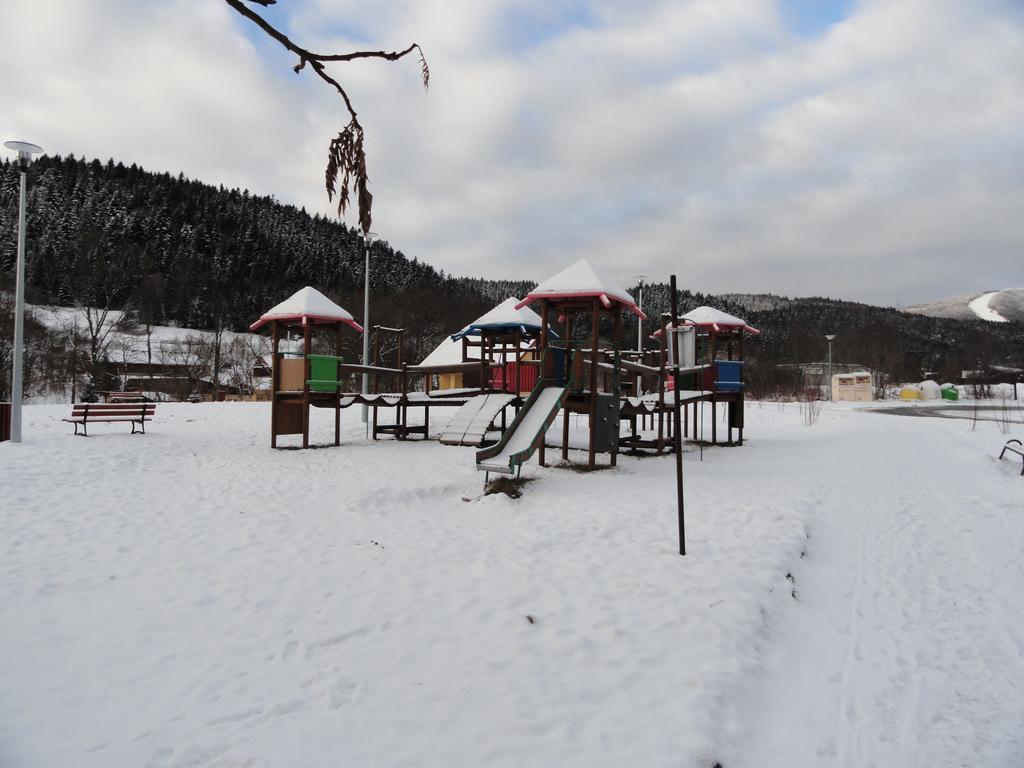 קריניצה זדרוי Apartament Czarny Potok חדר תמונה